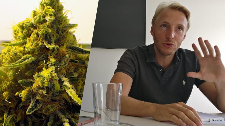Eine Cannabisblüte aus dem Demecan-Forschungsanbau – und Firmen-Gründer Constantin von der Groeben: Er sagt, dass das Unternehmen keine bekiffte Idee sondern nüchtern kalkuliert war.