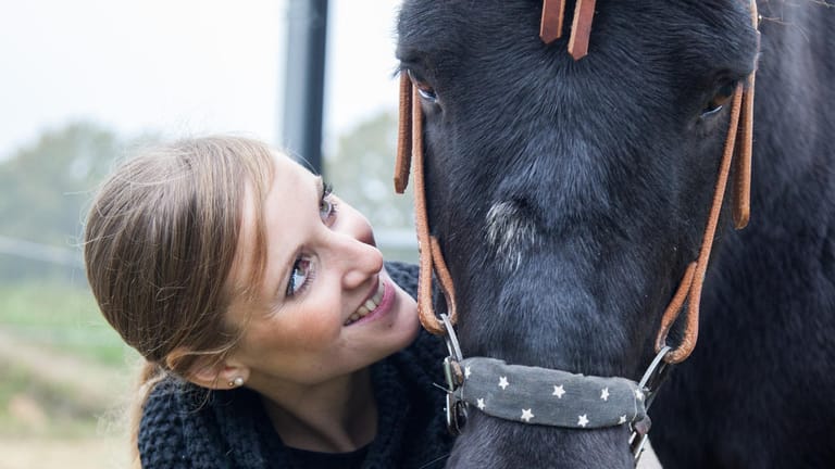 Pferde: Es sind feinfühlige Tiere, die hauptsächlich über Körpersprache kommunizieren.