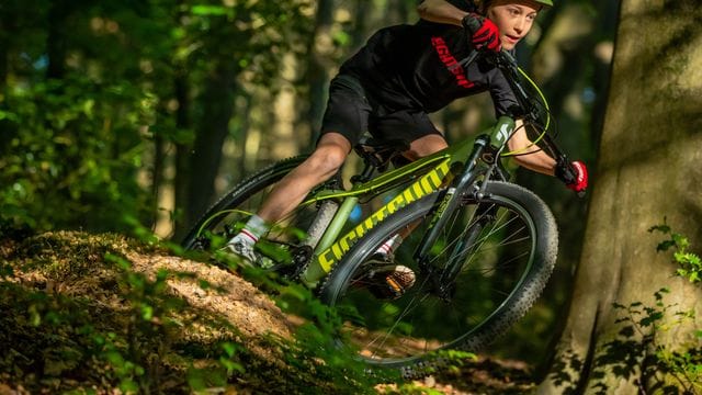 Mountainbikes für Kinder und Jugendliche stehen den größeren Modellen für Erwachsene preislich mitunter kaum nach.