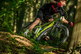 Mountainbikes für Kinder und Jugendliche stehen den größeren Modellen für Erwachsene preislich mitunter kaum nach.
