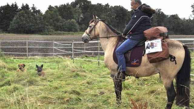 Das Bild zeigt den Nürnberger Jürgen Dirrigl auf seinem Pferd Peu auf einer Wiese beim Teamshooting: Bald soll es für die beiden los Richtung China gehen.