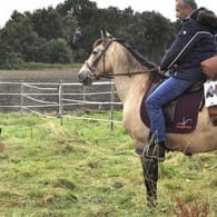 Das Bild zeigt den Nürnberger Jürgen Dirrigl auf seinem Pferd Peu auf einer Wiese beim Teamshooting: Bald soll es für die beiden los Richtung China gehen.
