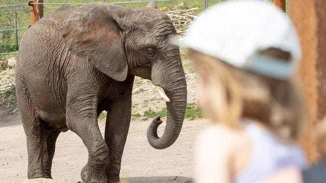 Zum Weltkindertag in Thüringen