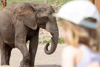 Zum Weltkindertag in Thüringen