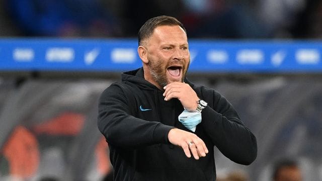Pal Dardai gestikuliert Pal Dardai gestikuliert