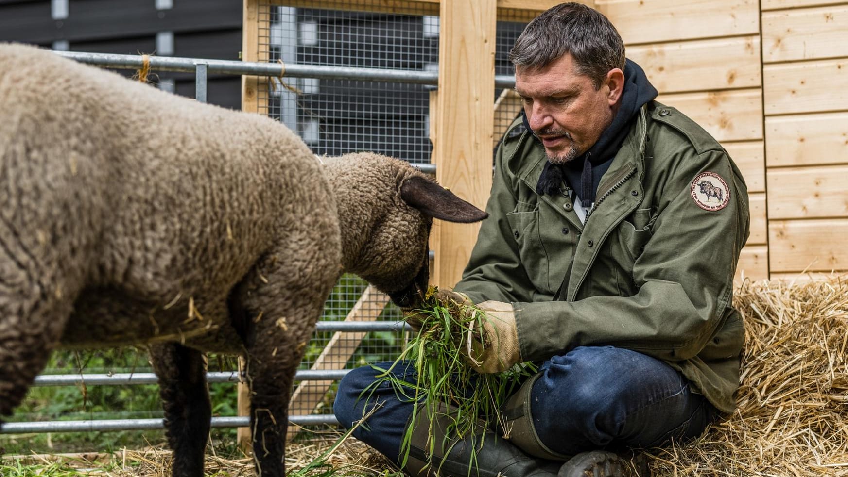 Hardy Krüger Jr. mit einem der Lämmer: Die Bindung ist schnell eng geworden.