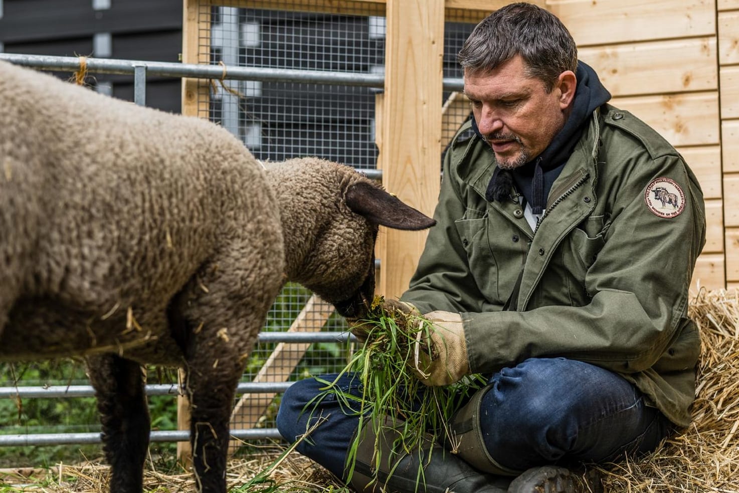 Hardy Krüger Jr. mit einem der Lämmer: Die Bindung ist schnell eng geworden.