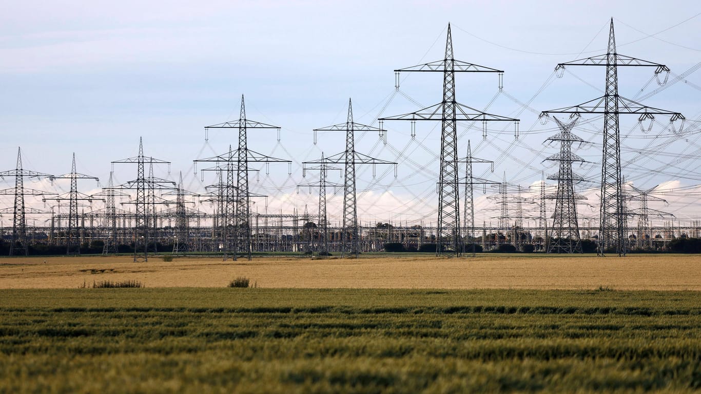 Stromnetztrasse in Nordrhein-Westfalen: Der Experte hält einen weiteren Ausbau des Stromnetzes für nicht erforderlich (Symbolbild).