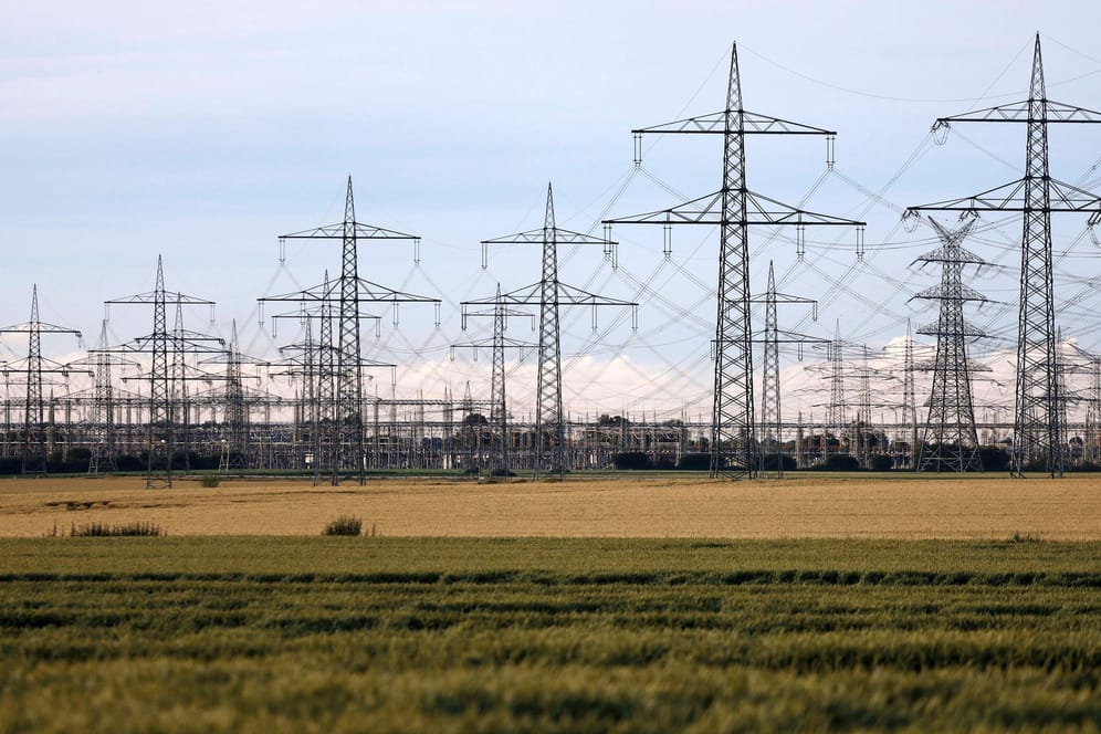 Stromnetztrasse in Nordrhein-Westfalen: Der Experte hält einen weiteren Ausbau des Stromnetzes für nicht erforderlich (Symbolbild).