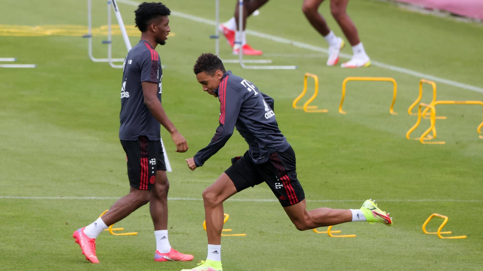 Kingsley Coman (hi.) und Jamal Musiala: Die beiden Bayern-Stars sind ebenso wie Serge Gnabry zurück im Training. (Archivbild)