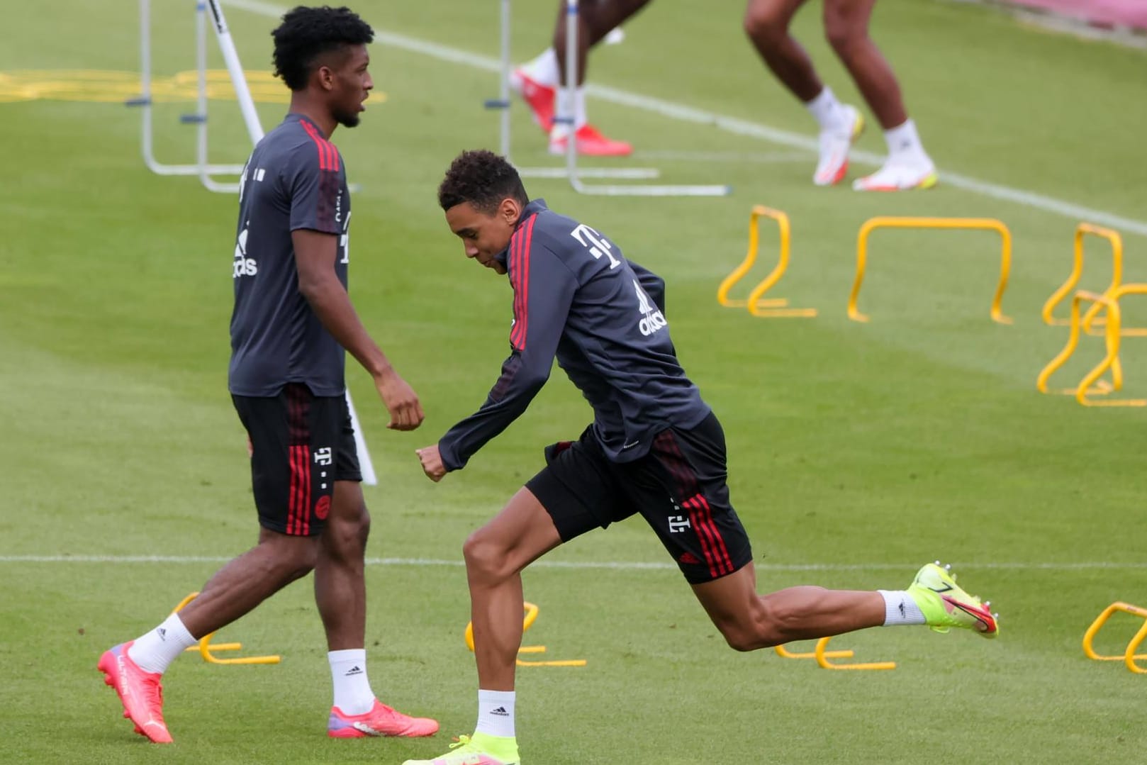 Kingsley Coman (hi.) und Jamal Musiala: Die beiden Bayern-Stars sind ebenso wie Serge Gnabry zurück im Training. (Archivbild)