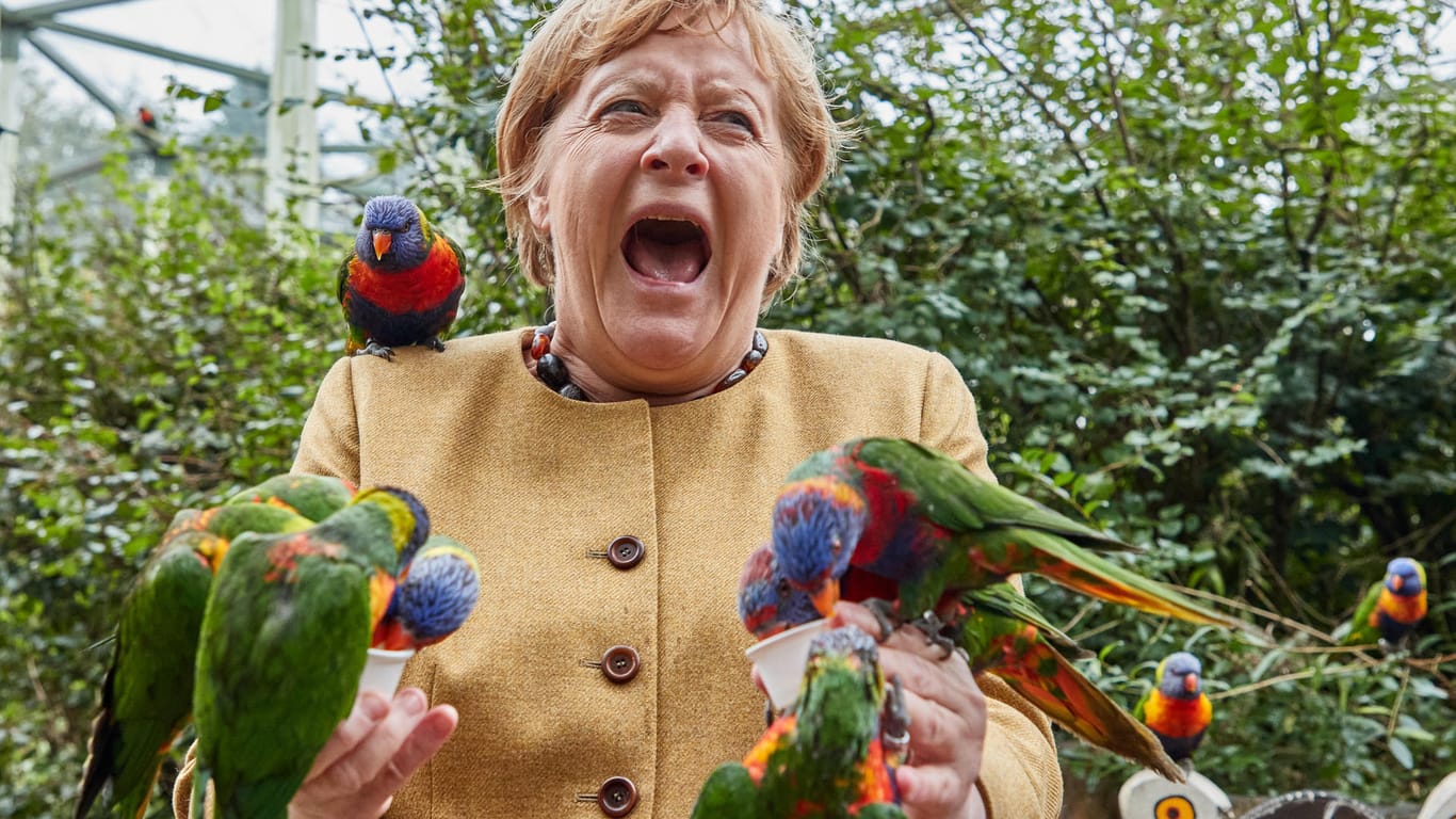 Angela Merkel, Bundeskanzlerin: Plötzlich wurde sie von einem der Vögel gebissen.