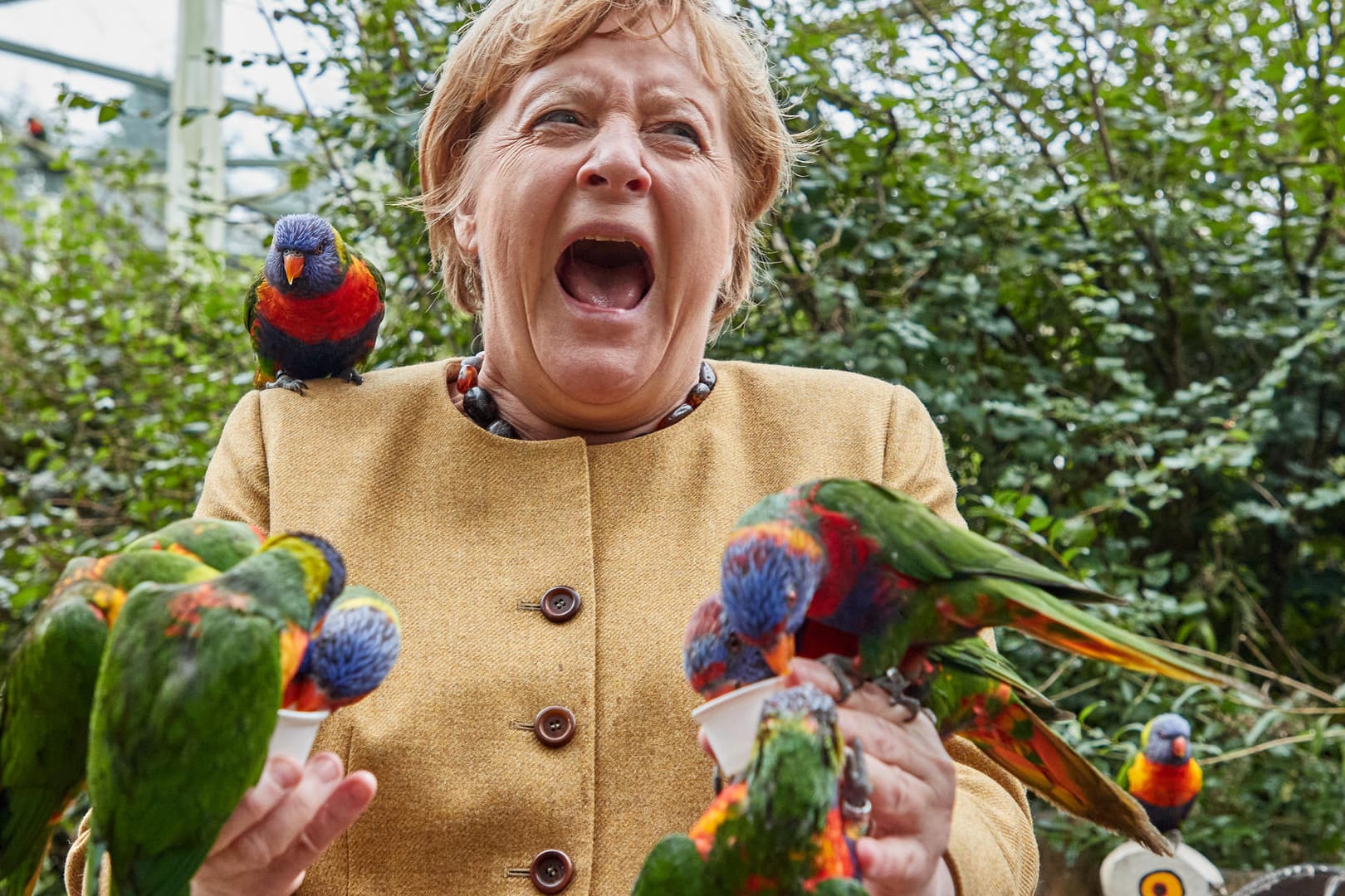 Angela Merkel, Bundeskanzlerin: Plötzlich wurde sie von einem der Vögel gebissen.