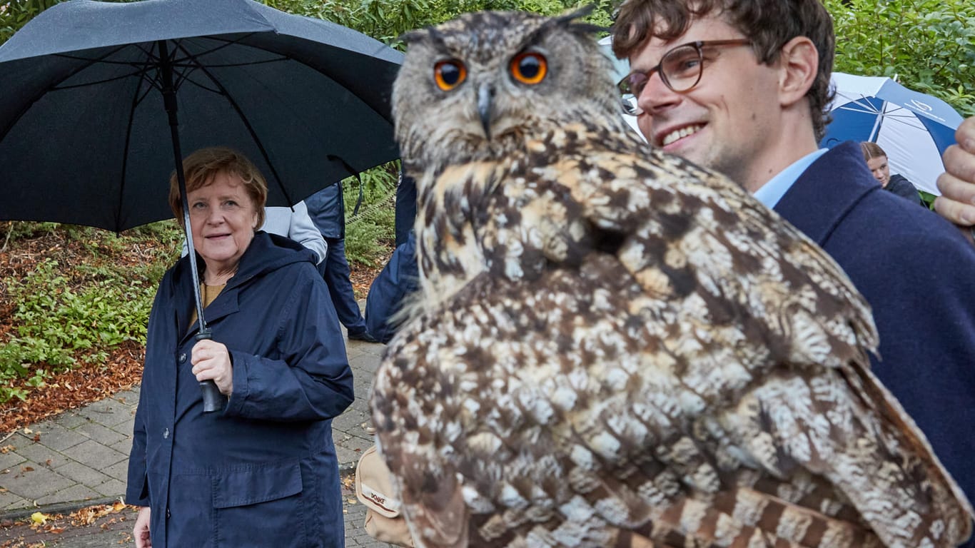 Georg Günther (r), Bundestagsdirektkandidat, hält den europäischen Uhu «Sinfonie» im Vogelpark Marlow auf seinem Arm: Merkel lehnte es ab, das Tier auf den Arm zu nehmen.