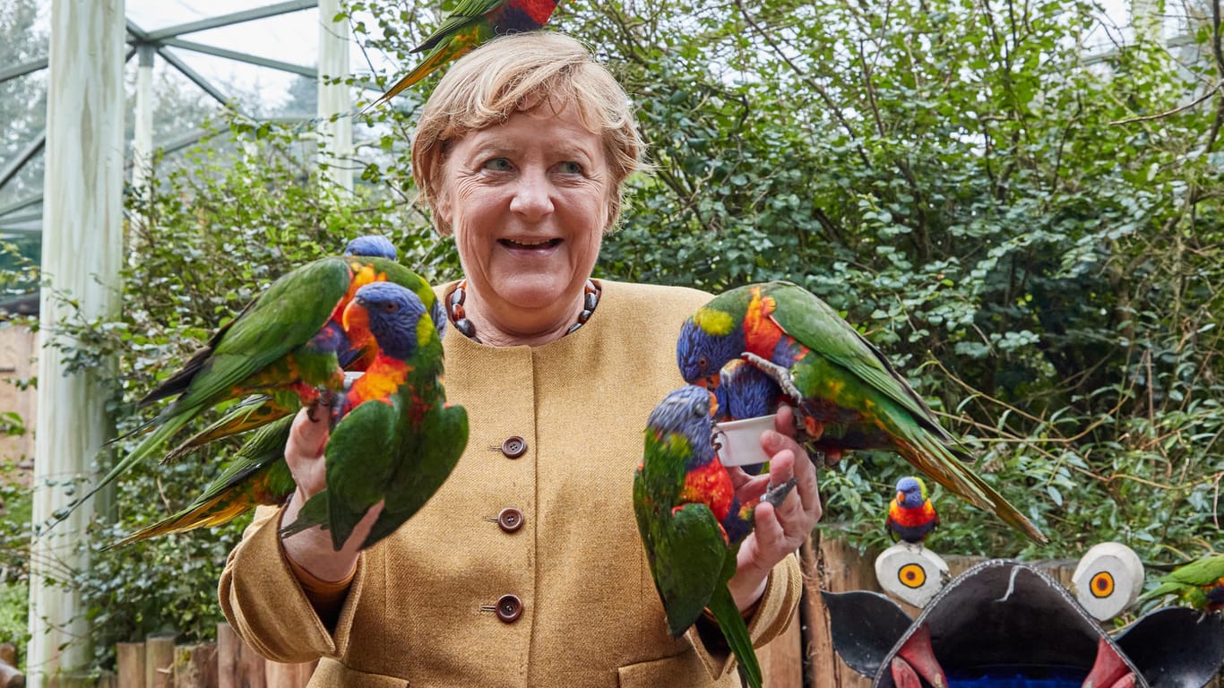Kanzlerin Merkel im Vogelpark: Einer der australischen Loris landete sogar auf ihrem Kopf.