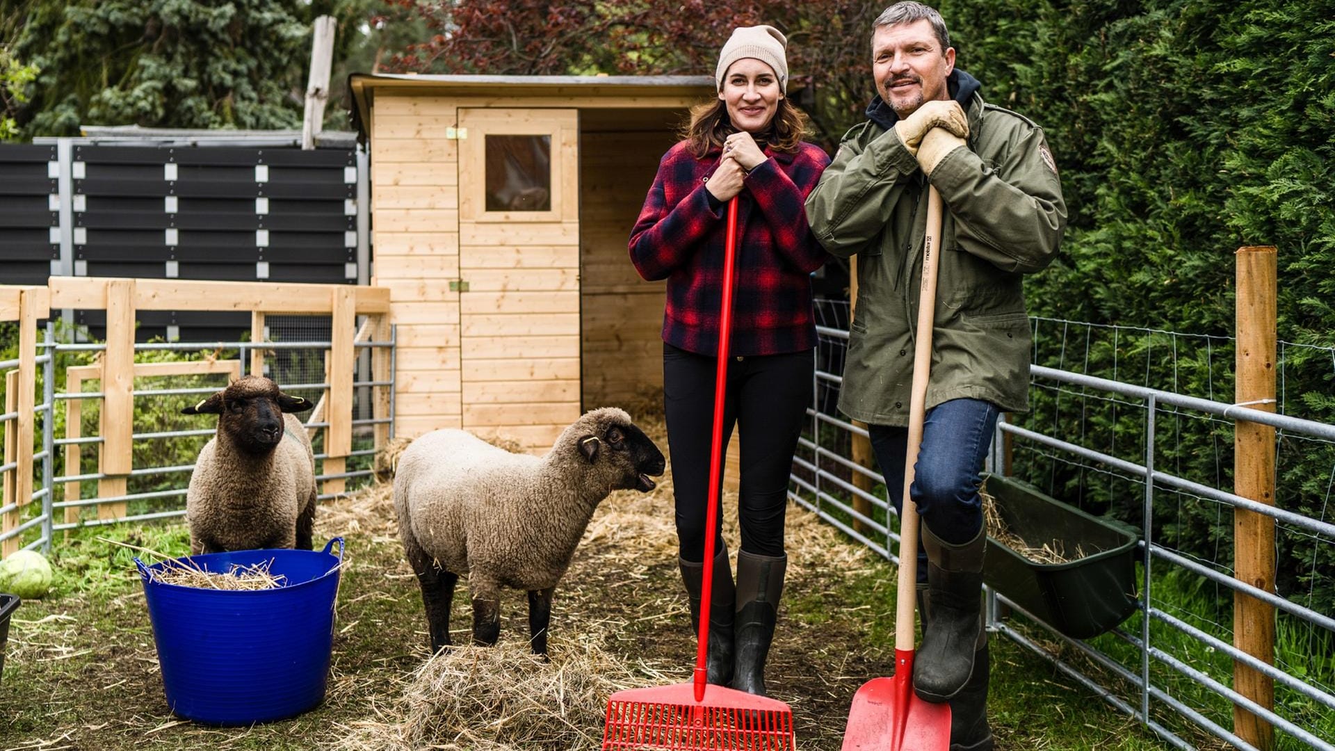 Alice und Hardy Krüger: Sie konnten die Lämmer nicht schlachten lassen..