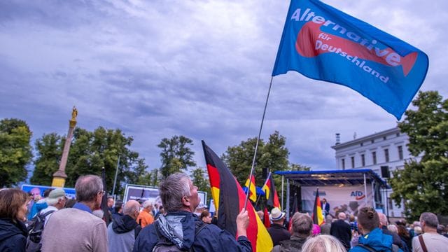 AfD AfD