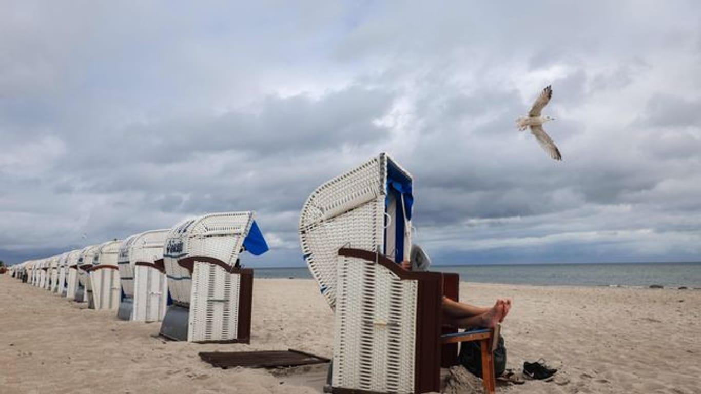 Ein Urlauber liest Zeitung in seinem Strandkorb an der Ostsee