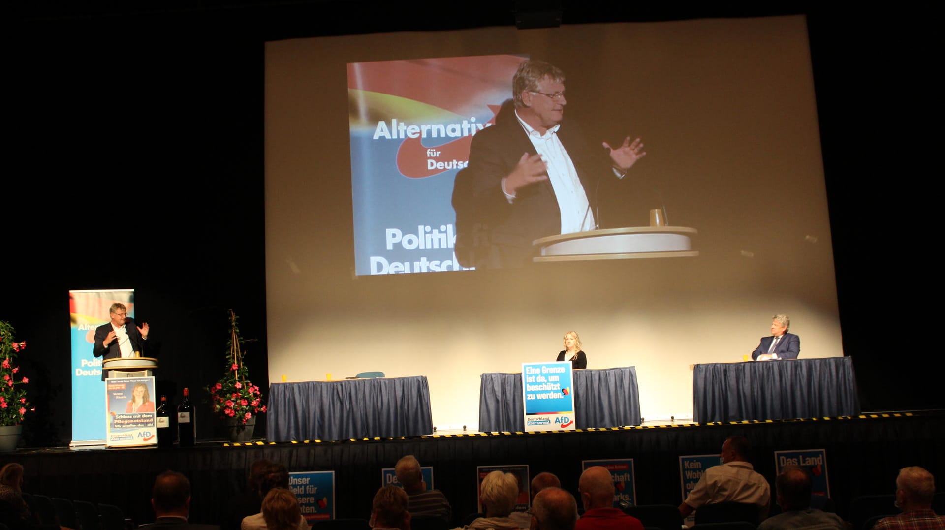 Jörg Meuthen: "Wer grün wählt, kann nicht bei Sinnen sein!"