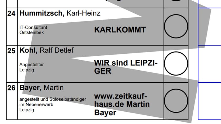 Musterstimmzettel des Wahlkreises 152: Ganz unten in der letzten Reihe steht Martin Bayer zur Wahl. Wo normalerweise Platz für einen Parteinamen ist, hat der Einzelkandidat eine Internetadresse eintragen lassen.