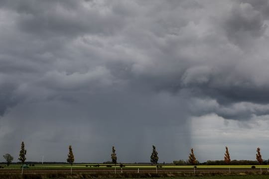 Ein Regenschauer zieht über ein Feld hinweg