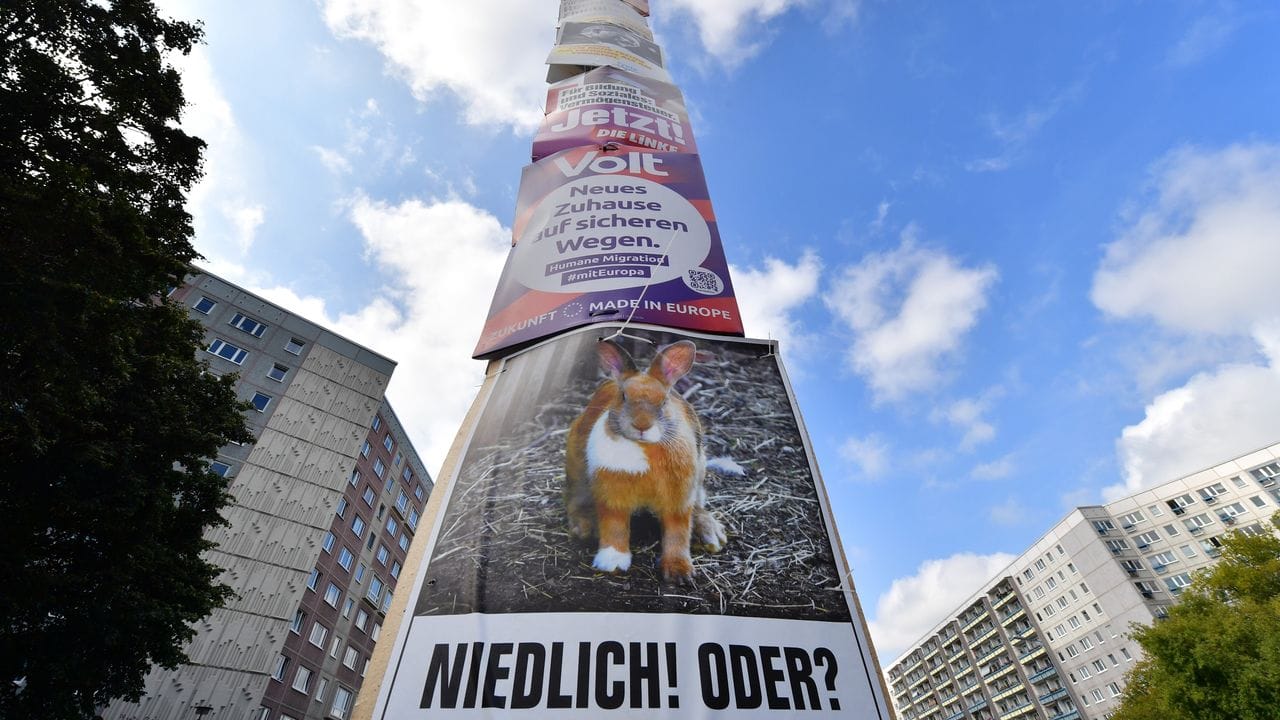 Wahlplakate hängen an einer Laterne am Juri-Gagarin-Ring in Erfurt.
