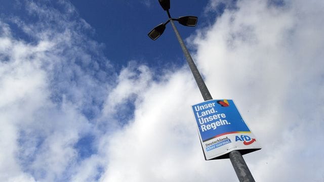 Wahlplakate der AfD