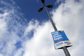 Wahlplakate der AfD