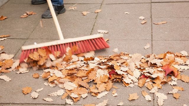 Eigentümergemeinschaften sollten darauf achten, dass Laub gefegt wird.