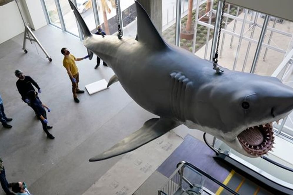Eine Kunststoff-Nachbildung von "Bruce", dem Hai aus Steven Spielbergs "Der weiße Hai" von 1975, im Academy Museum of Motion Pictures.