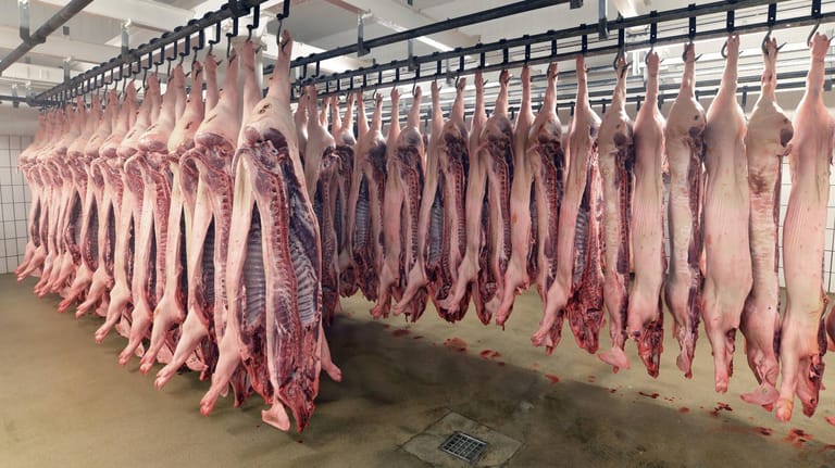 Schweinehälften im Schlachthaus (Symbolbild): Neben Obst und Gemüse enden auch viele Tierprodukte im Müll statt auf dem Teller.