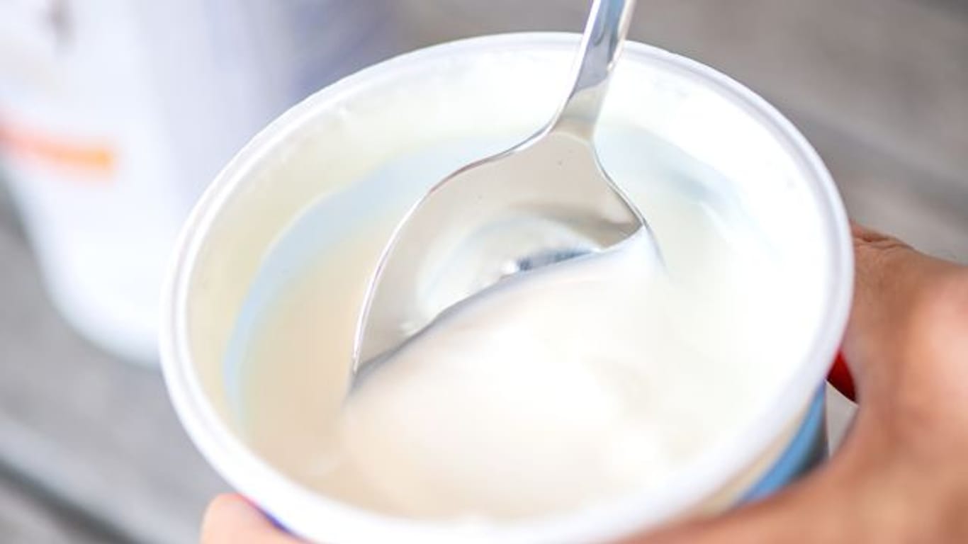 Joghurt: An Beinoten von Kokos über Cashew und Hafer bis Soja muss man sich häufig erst gewöhnen.