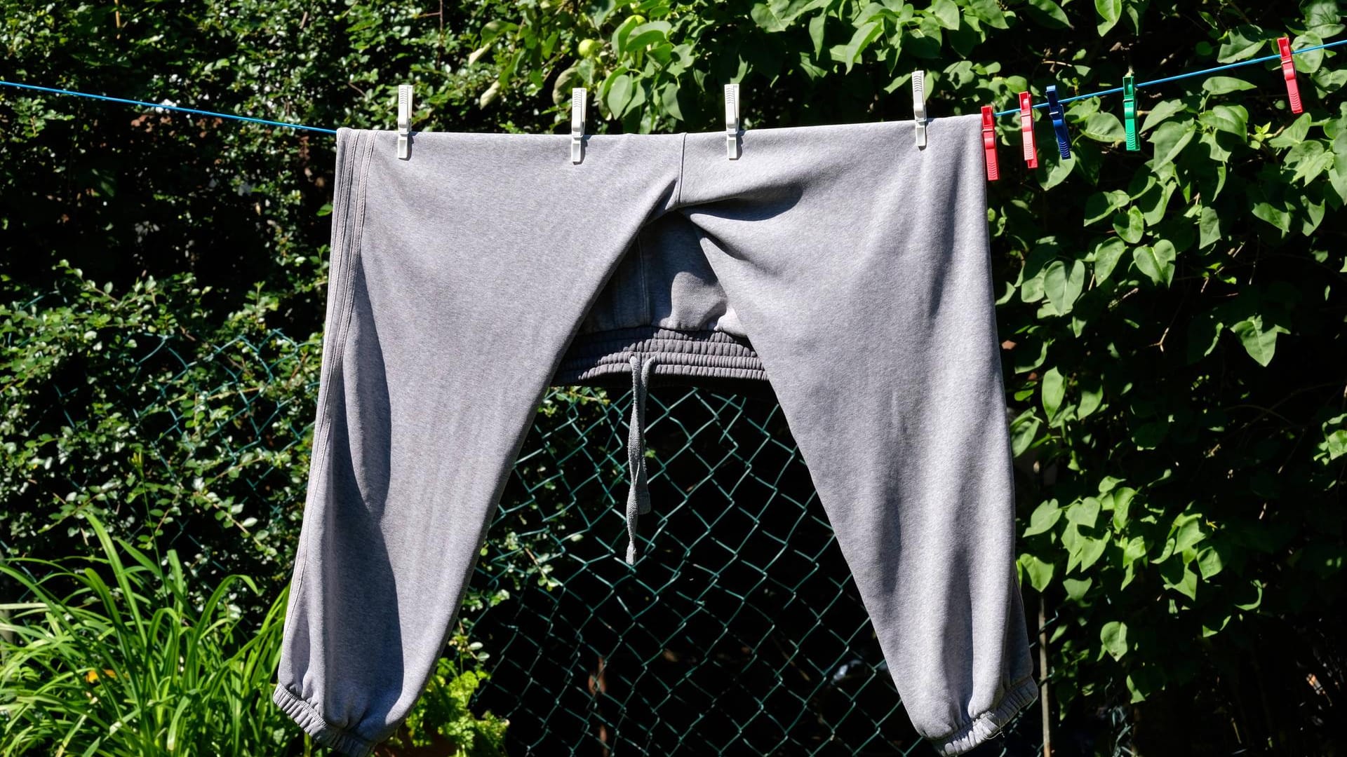 Eine Jogginghose auf einer Wäscheleine in einem Garten (Symbolbild): Und da soll sie auch bleiben, wenn es nach einem Café-Besitzer in NRW geht. Eine Jogginghose auf einer Wäscheleine in einem Garten (Symbolbild): Und da soll sie auch bleiben, wenn es nach einem Café-Besitzer in NRW geht.