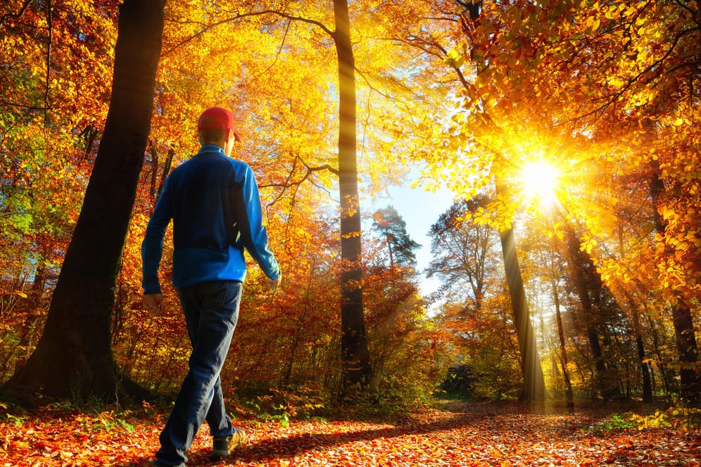 Ein Mann wandert im herbstlichen Wald: Ab Oktober reicht die Sonnenstrahlung nicht mehr aus, um genug Vitamin D zu bilden.