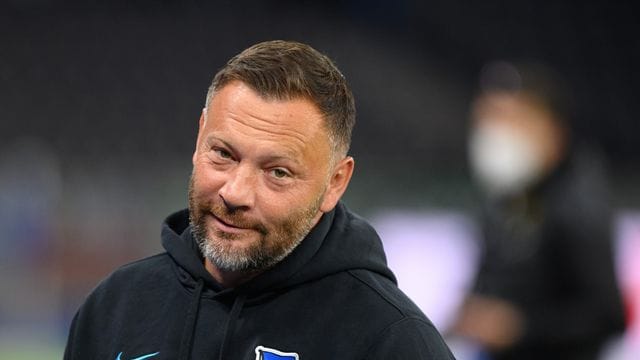 Pal Dardai Pal Dardai
