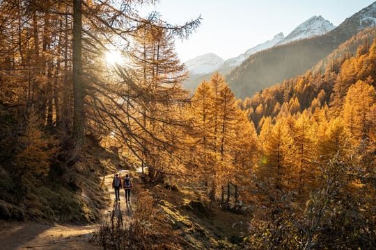 Wenn sich die Wälder herbstlich bunt verfärben, entwickeln viele Reiseziele noch einmal einen besonderen Reiz - hier die Fafleralp im Schweizer Lötschental.