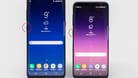 Das Samsung Galaxy S8