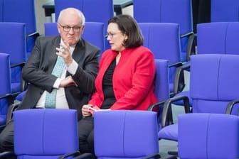 Unionsfraktionschef Volker Kauder und seine SPD-Kollegin Andrea Nahles (Archiv): Auf der Zugspitze wollen die Fraktionsspitzen Vorschläge erarbeiten, um den Koalitionsvertrag umzusetzen.