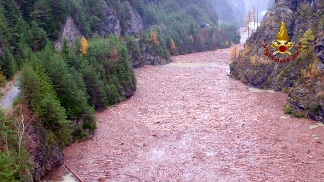Umgestürzte Bäume treiben bei BVelluno in Norditalien den Fluss Piave hinunter. Umgestürzte Bäume treiben bei BVelluno in Norditalien den Fluss Piave hinunter.
