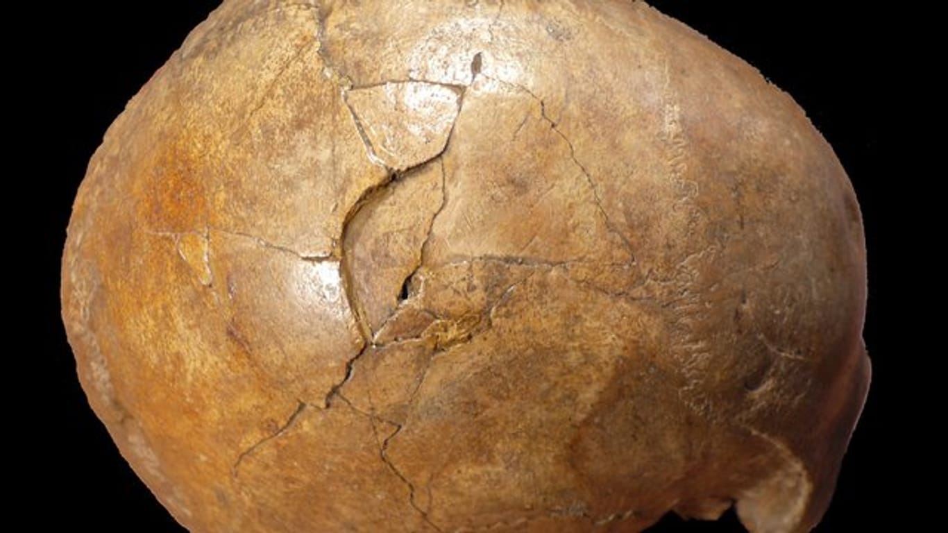 Eine neue Analyse des versteinerten Schädels eines Mannes aus der Altsteinzeit legt nahe, dass er eines gewaltsamen Todes gestorben ist.