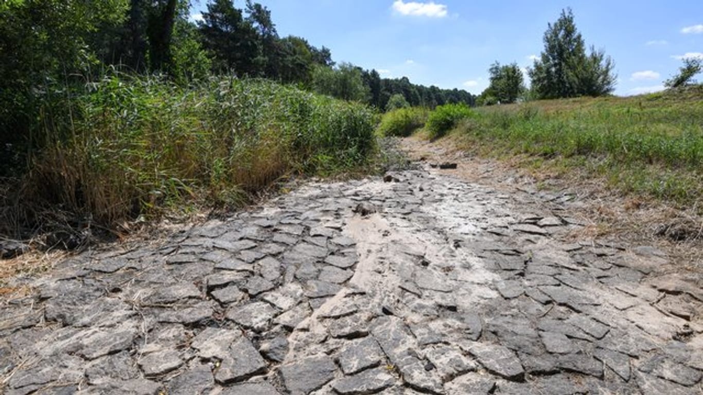 Ausgetrocknetes Flussbett der Schwarzen Elster bei Senftenberg in Brandenburg.