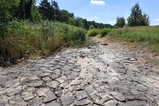 Ausgetrocknetes Flussbett der Schwarzen Elster bei Senftenberg in Brandenburg.