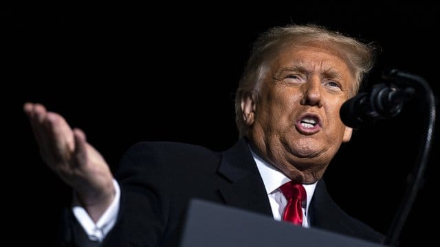 "Sie versuchen, Biden zu schützen": Donald Trump.