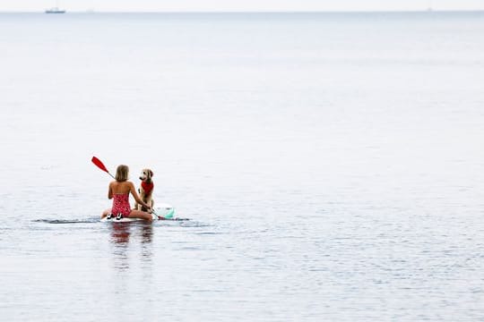 Eine Frau paddelt mit ihrem Hund auf einem Windsurfbrett auf der Ostsee vor der Insel Fehmarn.