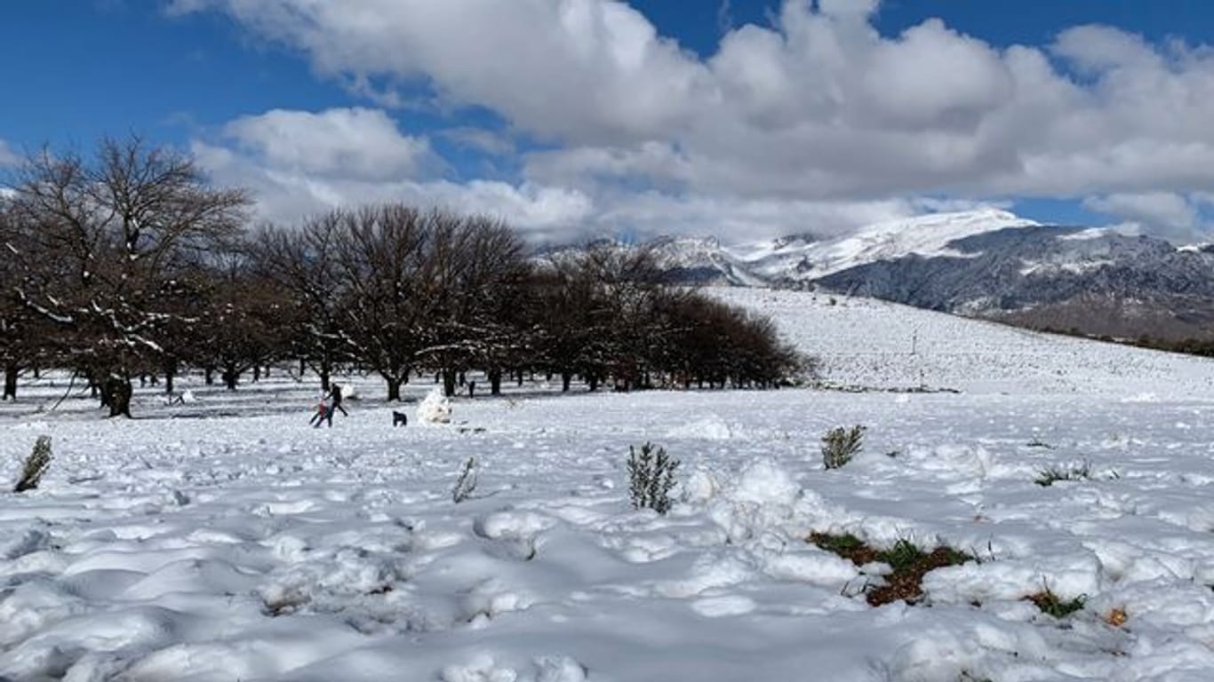 Eine geschlossene Schneedecke hat sich in der Nähe von Ceres am Westkap von Südafrika gebildet.
