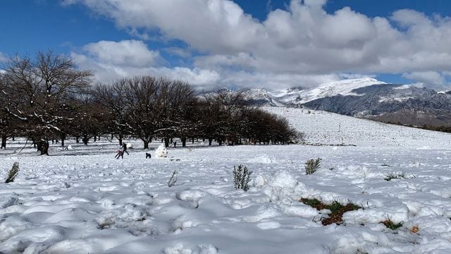 Eine geschlossene Schneedecke hat sich in der Nähe von Ceres am Westkap von Südafrika gebildet. Eine geschlossene Schneedecke hat sich in der Nähe von Ceres am Westkap von Südafrika gebildet.