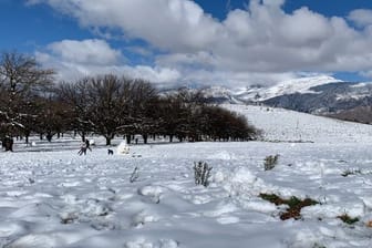 Eine geschlossene Schneedecke hat sich in der Nähe von Ceres am Westkap von Südafrika gebildet.