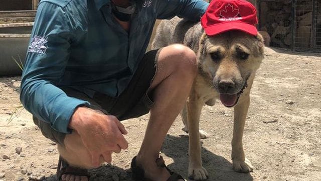 Ein Evakuierungsflug mit mehr als 150 Katzen und Hunden aus Afghanistan ist laut einem Medienbericht am Sonntag in Großbritannien angekommen. Ein Evakuierungsflug mit mehr als 150 Katzen und Hunden aus Afghanistan ist laut einem Medienbericht am Sonntag in Großbritannien angekommen.