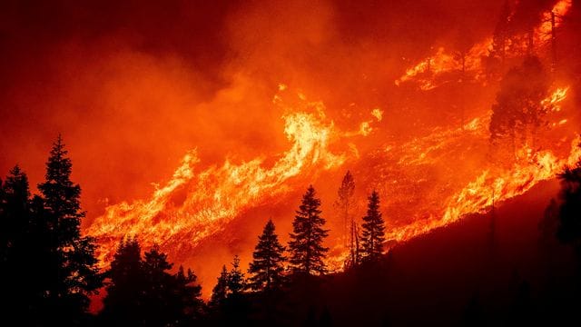 Die Flammen des Caldor-Feuers wüten an einem Hang über dem Christmas Valley. Die Flammen des Caldor-Feuers wüten an einem Hang über dem Christmas Valley.