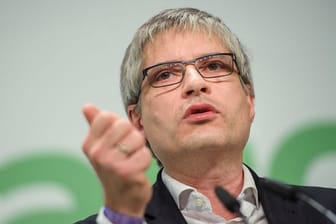 Sven Giegold, damals Spitzenkandidat Bündnis 90/Die Grünen zur Europawahl, spricht beim Parteitag zur Europawahl.
